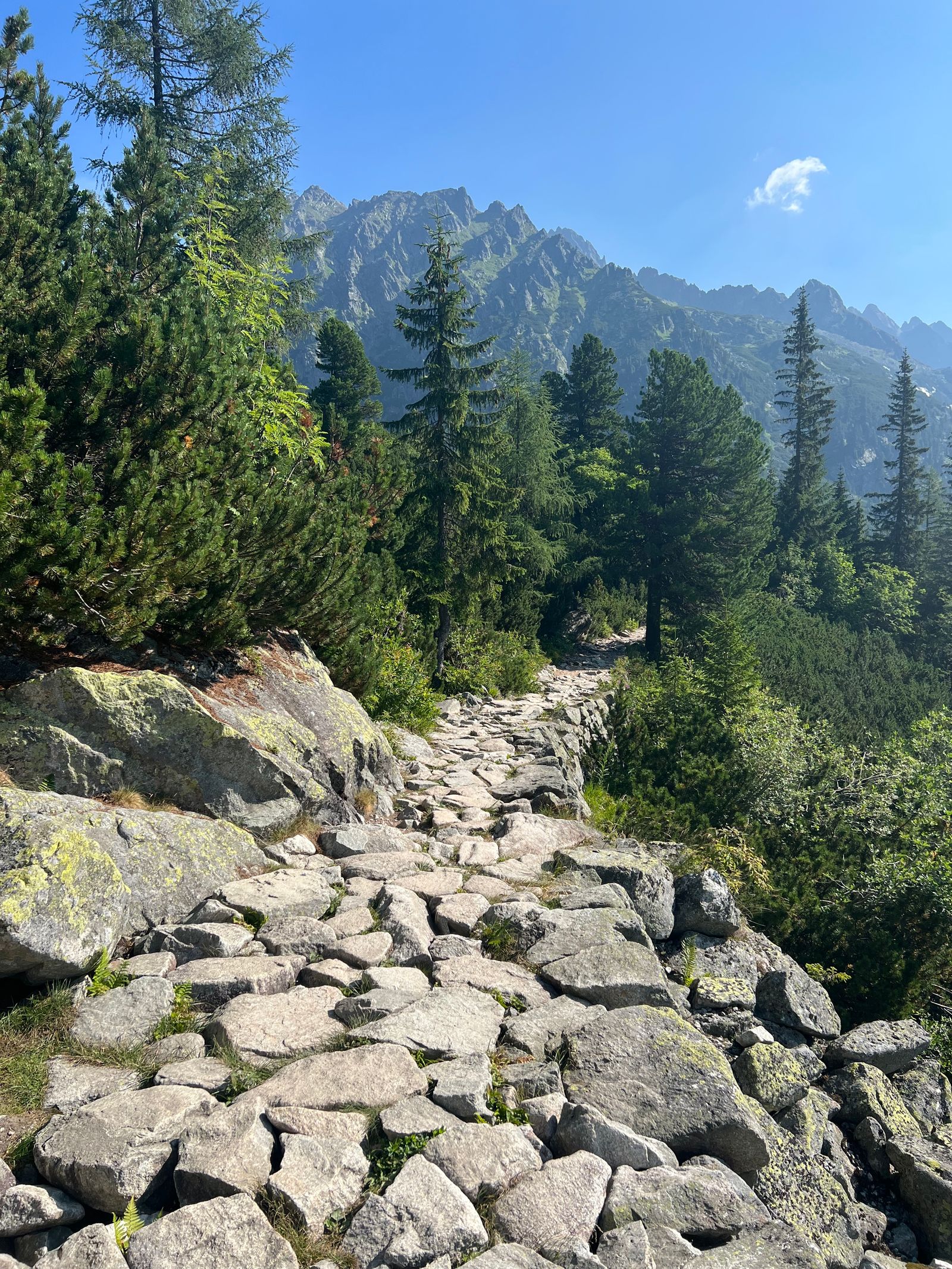 石板路通向松林和岩峰